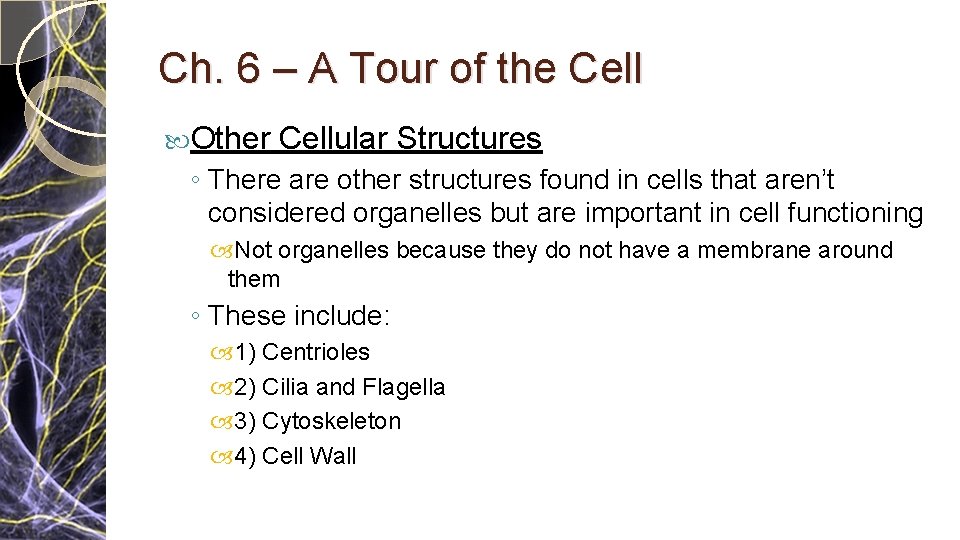 Ch. 6 – A Tour of the Cell Other Cellular Structures ◦ There are Ch. 6 – A Tour of the Cell Other Cellular Structures ◦ There are