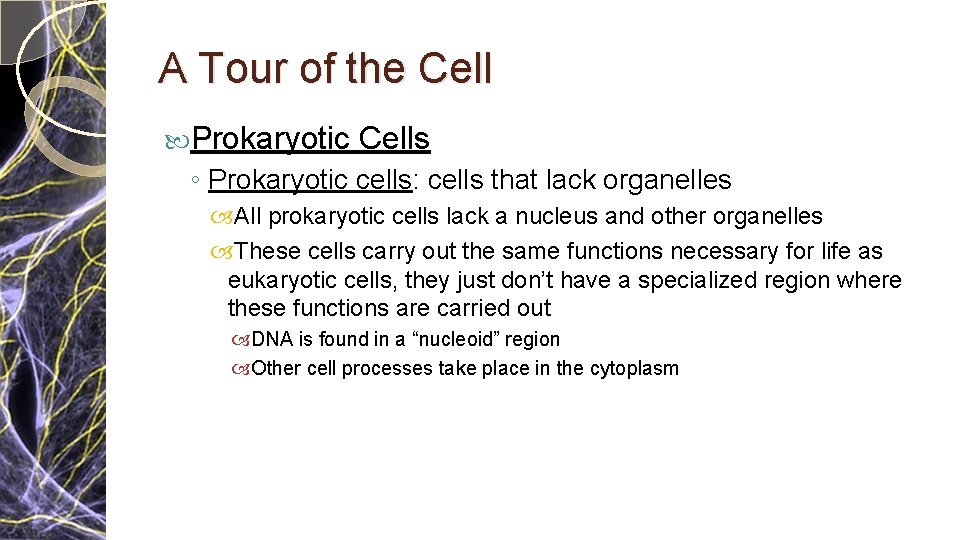A Tour of the Cell Prokaryotic Cells ◦ Prokaryotic cells: cells that lack organelles A Tour of the Cell Prokaryotic Cells ◦ Prokaryotic cells: cells that lack organelles