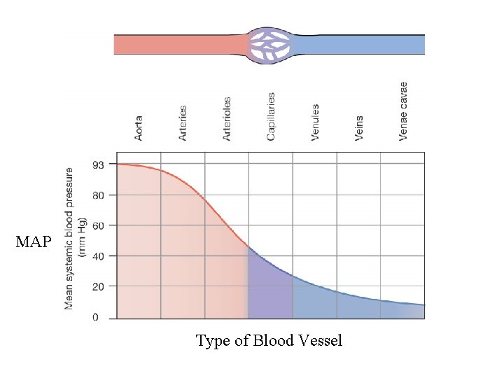 MAP Type of Blood Vessel MAP Type of Blood Vessel