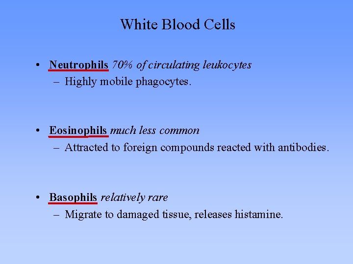 White Blood Cells • Neutrophils 70% of circulating leukocytes – Highly mobile phagocytes. • White Blood Cells • Neutrophils 70% of circulating leukocytes – Highly mobile phagocytes. •