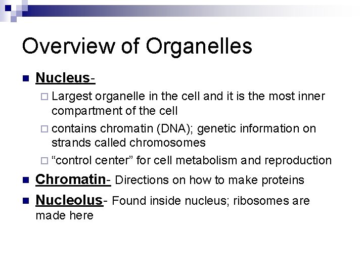 Overview of Organelles n Nucleus¨ Largest organelle in the cell and it is the