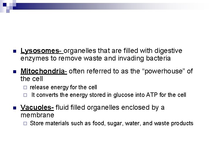 n Lysosomes- organelles that are filled with digestive enzymes to remove waste and invading