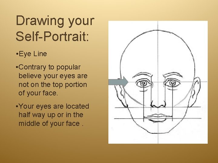 Drawing your Self-Portrait: • Eye Line • Contrary to popular believe your eyes are