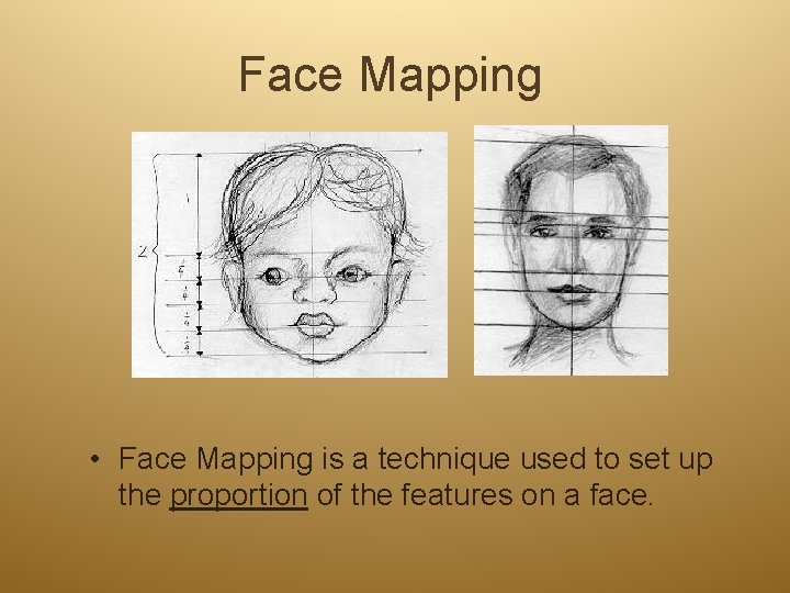 Face Mapping • Face Mapping is a technique used to set up the proportion