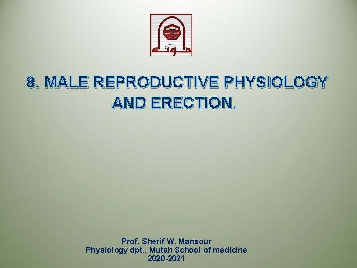 8. MALE REPRODUCTIVE PHYSIOLOGY AND ERECTION. Prof. Sherif W. Mansour Physiology dpt. , Mutah