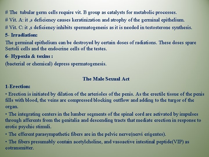 # The tubular germ cells require vit. B group as catalysts for metabolic processes.