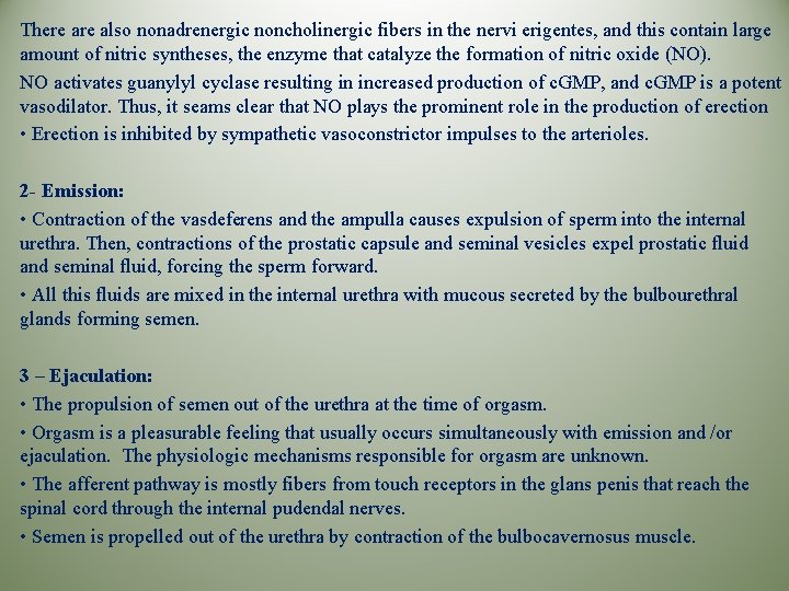 There also nonadrenergic noncholinergic fibers in the nervi erigentes, and this contain large amount