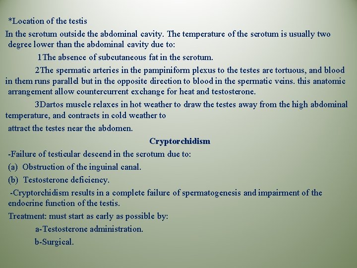 *Location of the testis In the scrotum outside the abdominal cavity. The temperature of