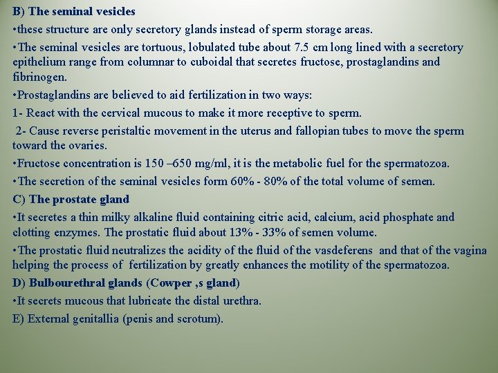 B) The seminal vesicles • these structure are only secretory glands instead of sperm