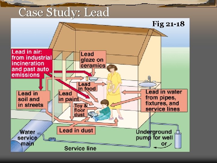 Case Study: Lead Fig 21 -18 