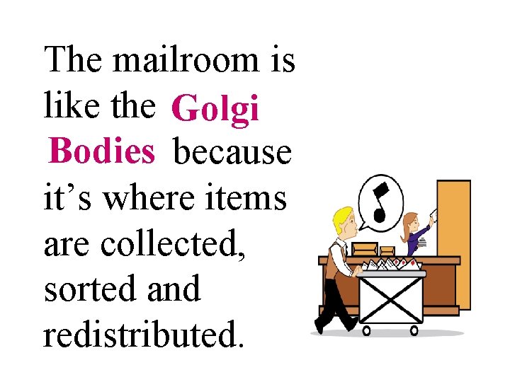 The mailroom is like the golgi Golgi Bodies because bodies it’s where items are