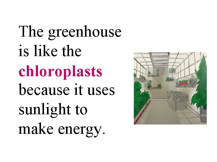 The greenhouse is like the chloroplasts because it uses sunlight to make energy. 
