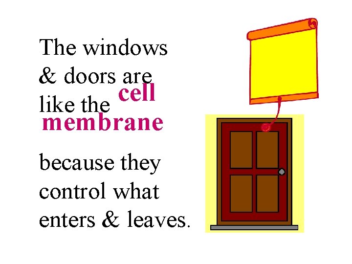 The windows & doors are cell like the cell membrane because they control what