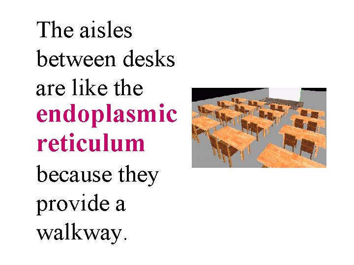 The aisles between desks are like the endoplasmic reticulum because they provide a walkway.