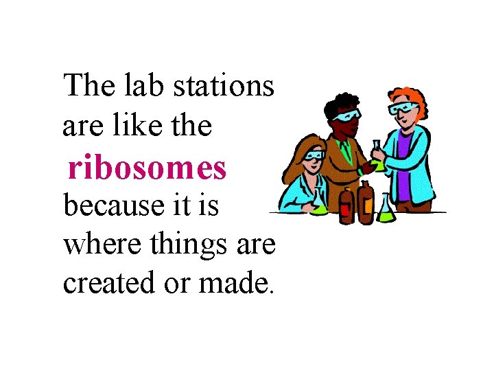 The lab stations are like the ribosomes because it is where things are created