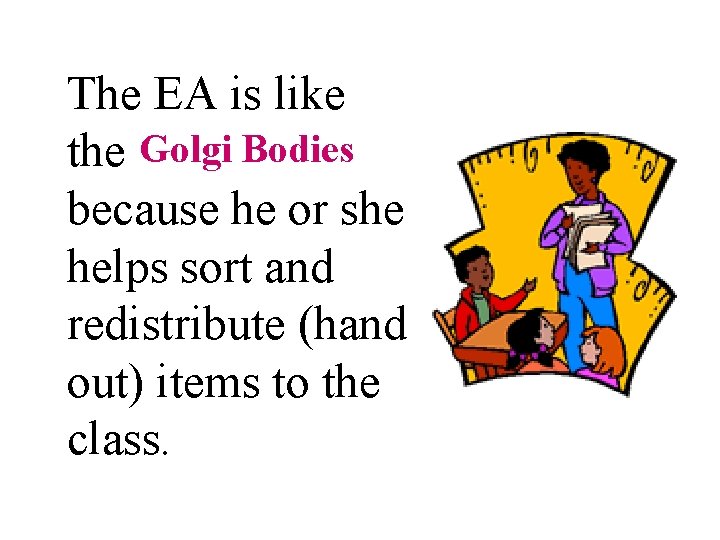 The EA is like Golgi Bodies the golgi bodies because he or she helps