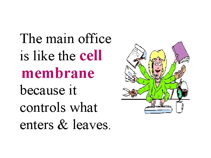 The main office is like the cell membrane because it controls what enters &