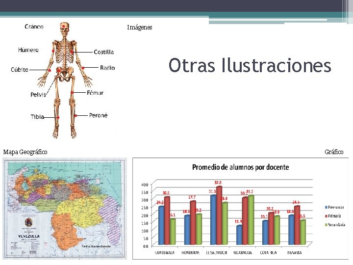 Imágenes Otras Ilustraciones Mapa Geográfico Gráfico 