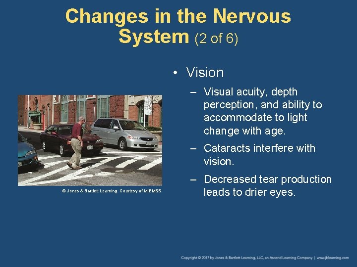 Changes in the Nervous System (2 of 6) • Vision – Visual acuity, depth