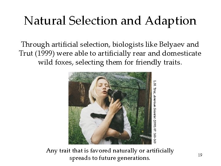 Natural Selection and Adaption Through artificial selection, biologists like Belyaev and Trut (1999) were