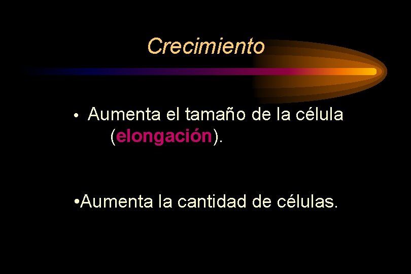 Crecimiento • Aumenta el tamaño de la célula (elongación). • Aumenta la cantidad de