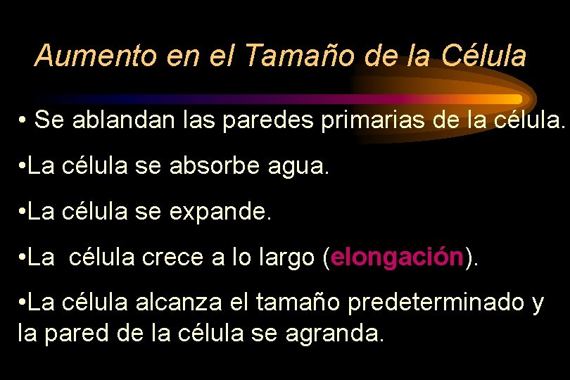 Aumento en el Tamaño de la Célula • Se ablandan las paredes primarias de