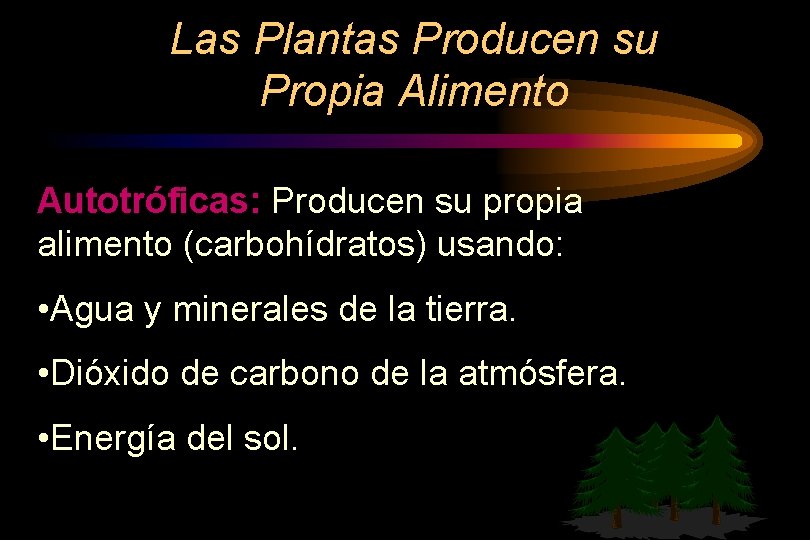 Las Plantas Producen su Propia Alimento Autotróficas: Producen su propia alimento (carbohídratos) usando: •