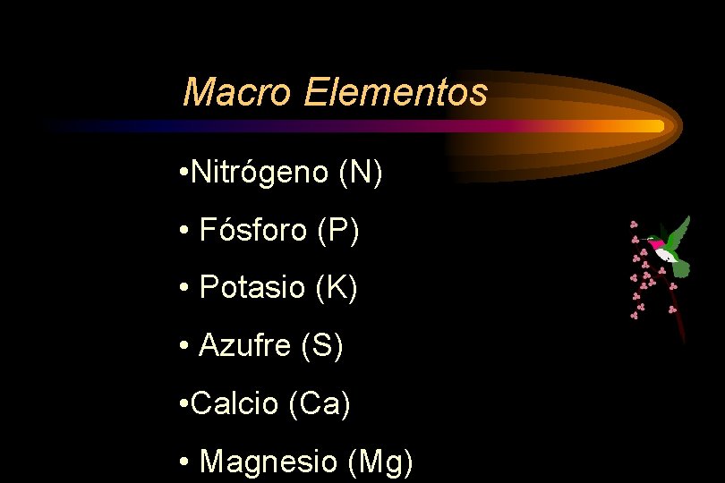 Macro Elementos • Nitrógeno (N) • Fósforo (P) • Potasio (K) • Azufre (S)