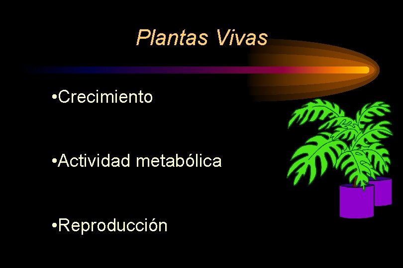 Plantas Vivas • Crecimiento • Actividad metabólica • Reproducción 