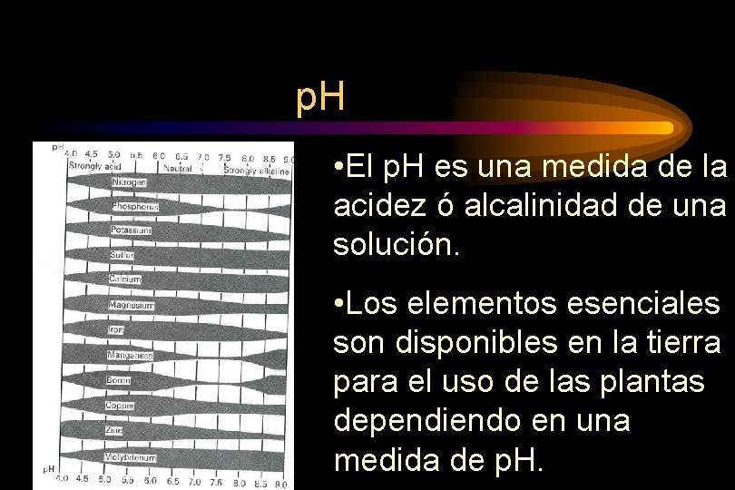 p. H • El p. H es una medida de la acidez ó alcalinidad