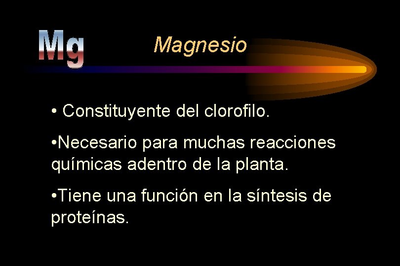 Magnesio • Constituyente del clorofilo. • Necesario para muchas reacciones químicas adentro de la