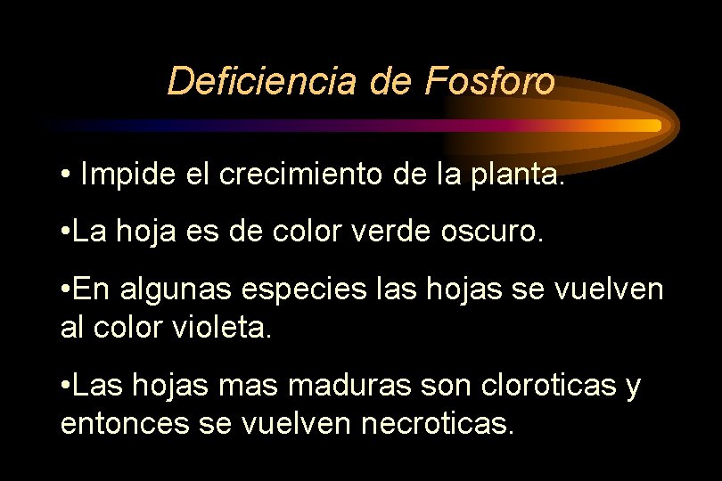 Deficiencia de Fosforo • Impide el crecimiento de la planta. • La hoja es