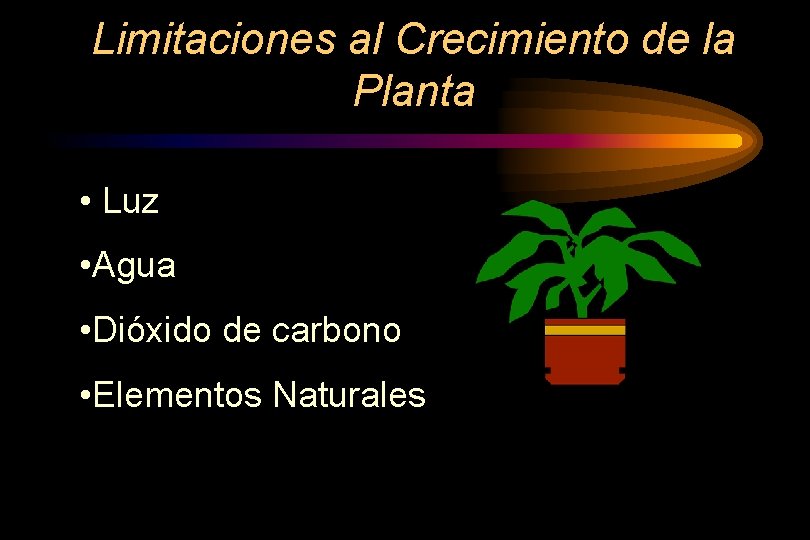 Limitaciones al Crecimiento de la Planta • Luz • Agua • Dióxido de carbono