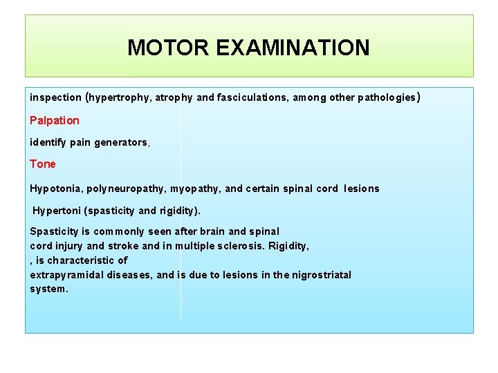 MOTOR EXAMINATION inspection (hypertrophy, atrophy and fasciculations, among other pathologies) Palpation identify pain generators,