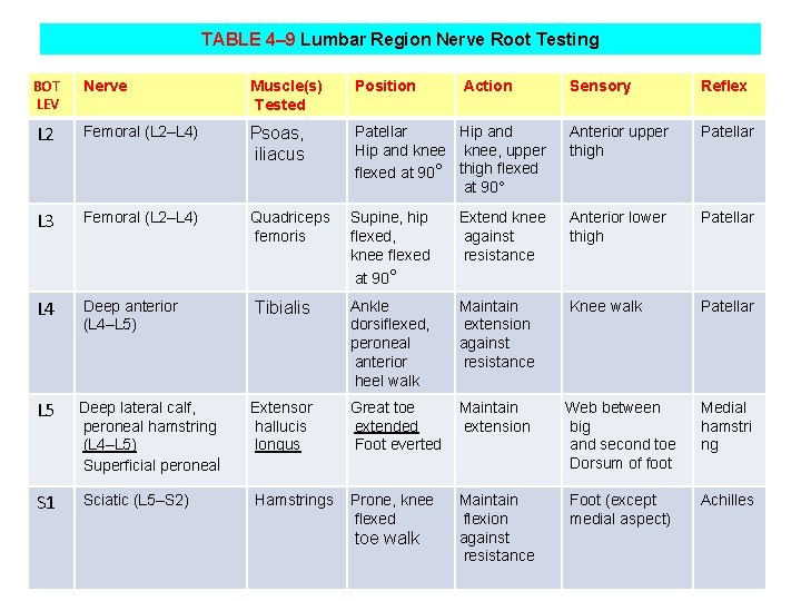TABLE 4– 9 Lumbar Region Nerve Root Testing BOT LEV Nerve Muscle(s) Tested Position