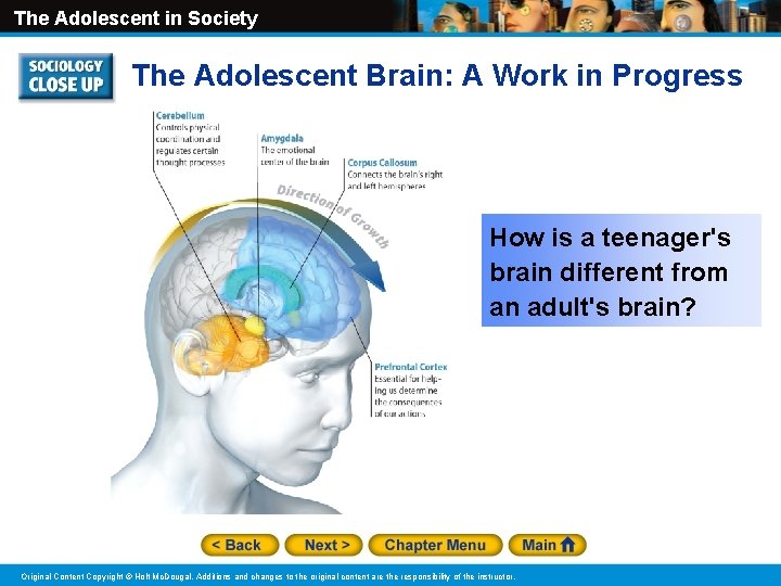 The Adolescent in Society The Adolescent Brain: A Work in Progress How is a