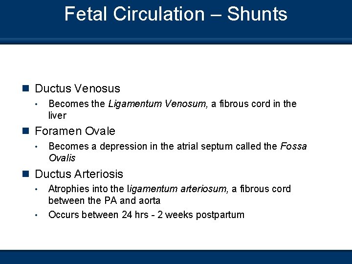 Fetal Circulation – Shunts n Ductus Venosus • Becomes the Ligamentum Venosum, a fibrous