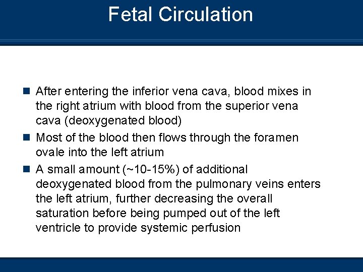 Fetal Circulation n After entering the inferior vena cava, blood mixes in the right