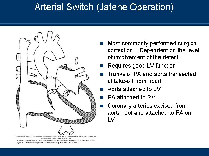 Arterial Switch (Jatene Operation) n Most commonly performed surgical n n n correction –