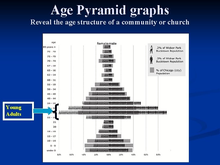 Age Pyramid graphs Reveal the age structure of a community or church Young Adults