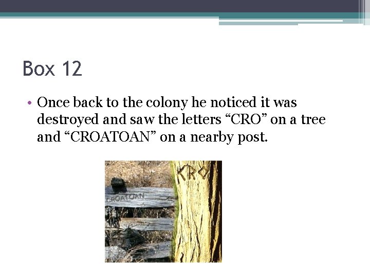 Box 12 • Once back to the colony he noticed it was destroyed and