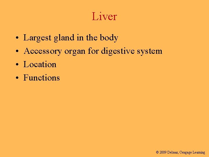 Liver • • Largest gland in the body Accessory organ for digestive system Location