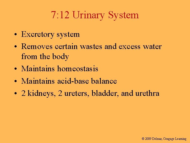 7: 12 Urinary System • Excretory system • Removes certain wastes and excess water