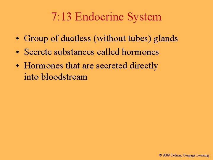 7: 13 Endocrine System • Group of ductless (without tubes) glands • Secrete substances