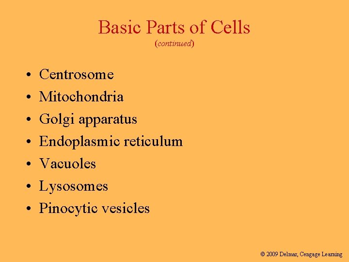 Basic Parts of Cells (continued) • • Centrosome Mitochondria Golgi apparatus Endoplasmic reticulum Vacuoles