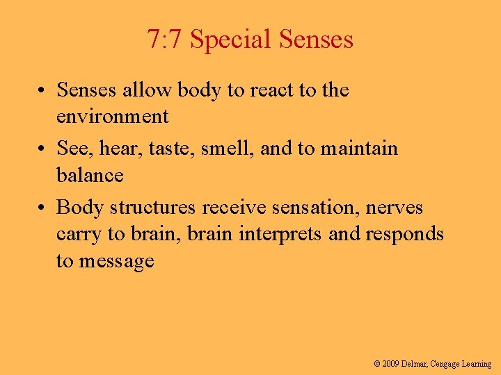 7: 7 Special Senses • Senses allow body to react to the environment •