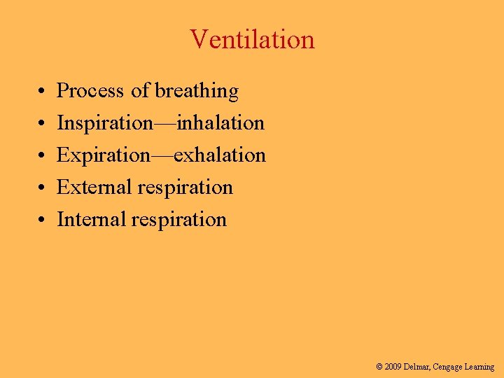 Ventilation • • • Process of breathing Inspiration—inhalation Expiration—exhalation External respiration Internal respiration ©