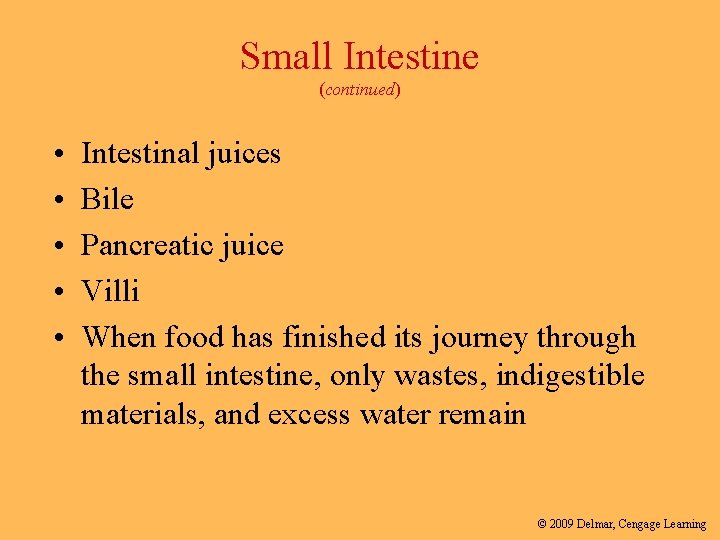 Small Intestine (continued) • • • Intestinal juices Bile Pancreatic juice Villi When food