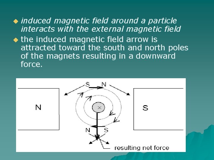 u u induced magnetic field around a particle interacts with the external magnetic field