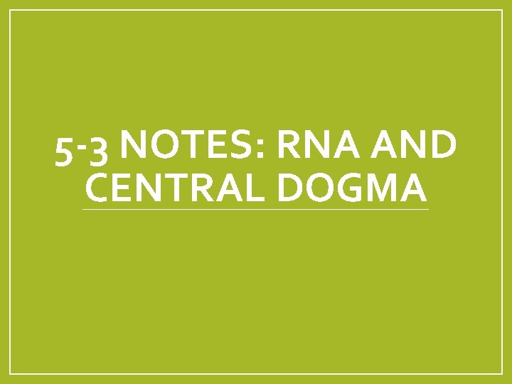 5 -3 NOTES: RNA AND CENTRAL DOGMA 